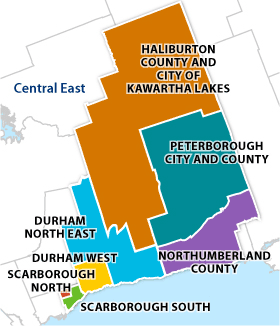 Find Services Near Me